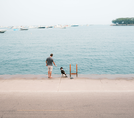 man and dog looking at the ocean
