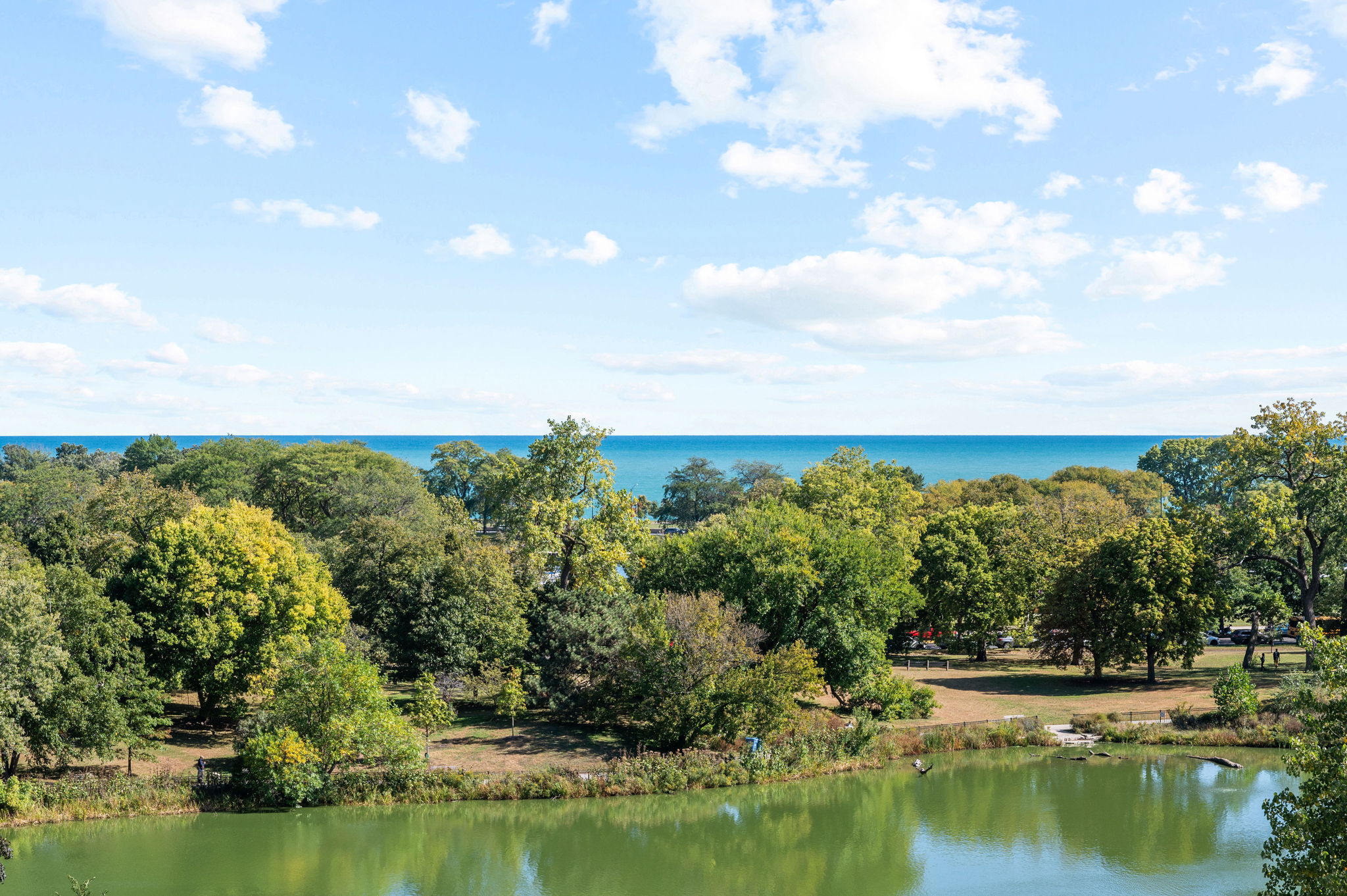 2550 N Lakeview Realtors